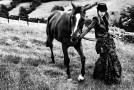 Perfect Polo Party Pieces