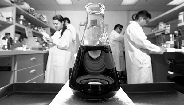 algaescientist