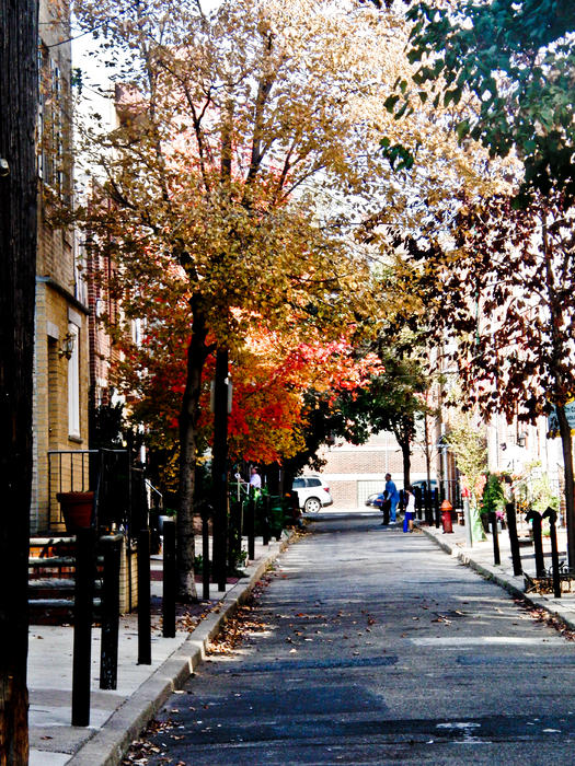 fall-street-ruthanne-fullerton