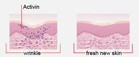 reversalist_science_diagram Avon Anew Reversalist Science Diagram