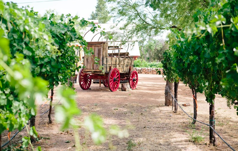 Best Of Our Valley Issue 2016 Escapes