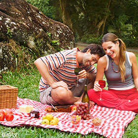 date-picnic