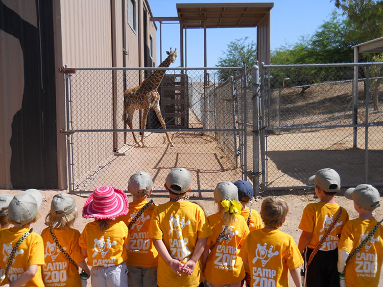 3688_Camp-Zoo-at-the-Phoenix-Zoo--Phoenix-AZ.jpg