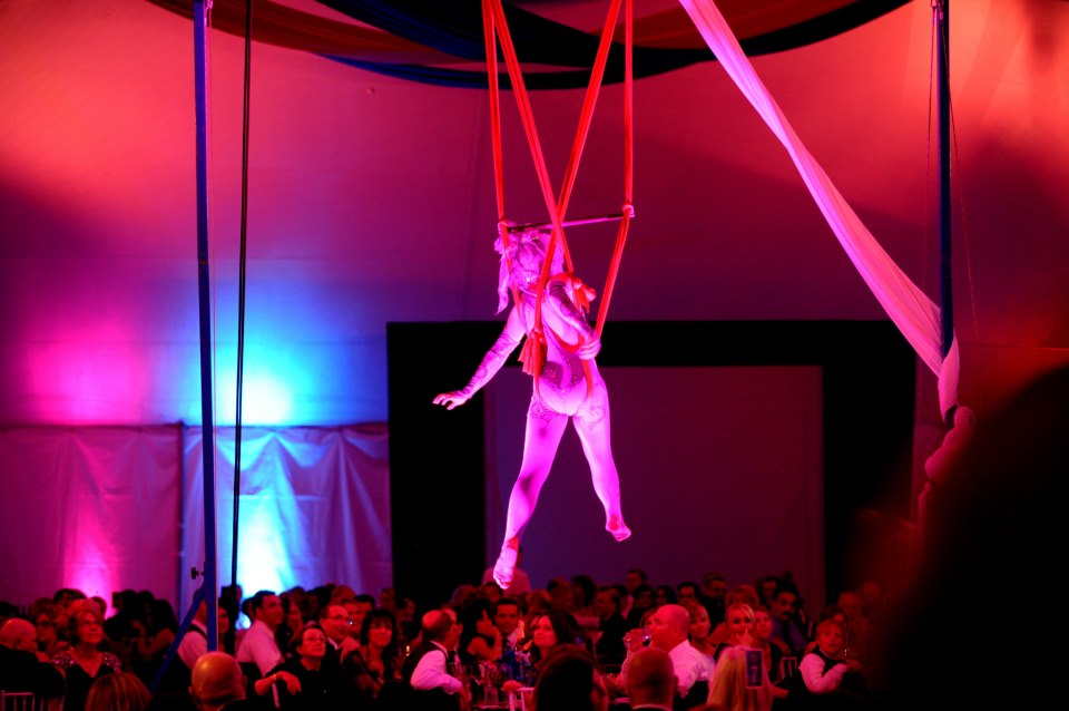 museum circus hanging