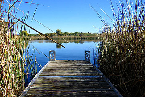 roper-lake-state-park-arizona