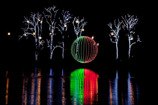 Zoo Lights Phoenix 2012 Dates