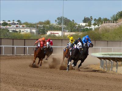 tucson events thoroughbred racing Rillito Park Horse Racetrack 400x300