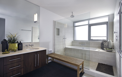 Glass Enclosed Bathtub