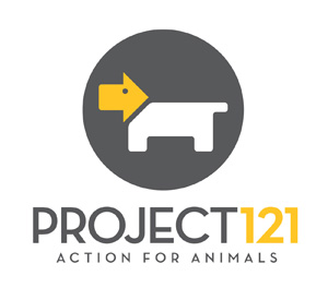 az-humane-society-project-121