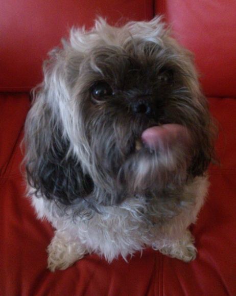 Casey1b
