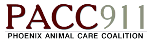 pacc911