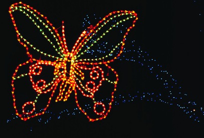 web ZooLights Butterfly