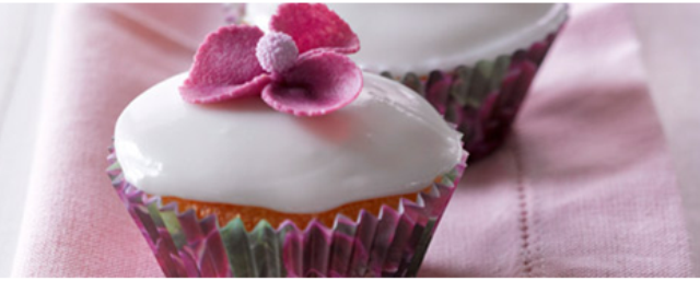 wild berry cupcakes