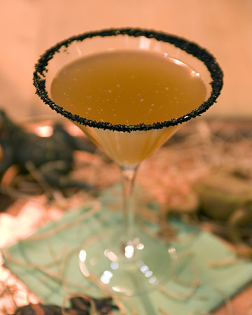 5026_102809_cocktail_xl