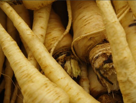 parsnips
