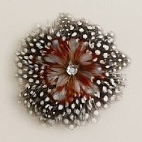 jcrewhairclip J Crew Hair Clip