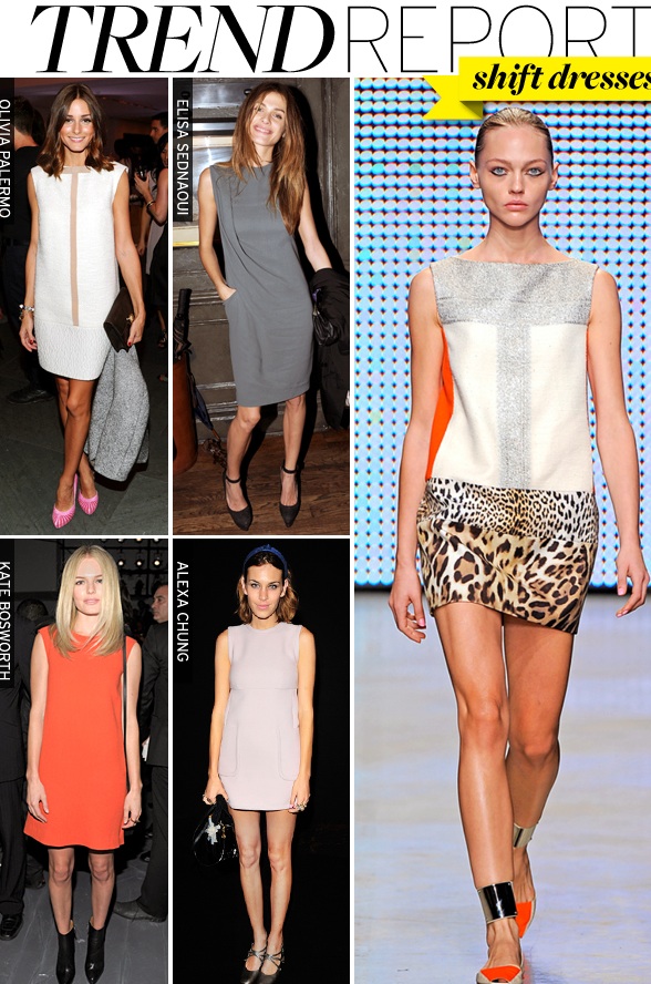 Must Have Trend Shift Dresses!