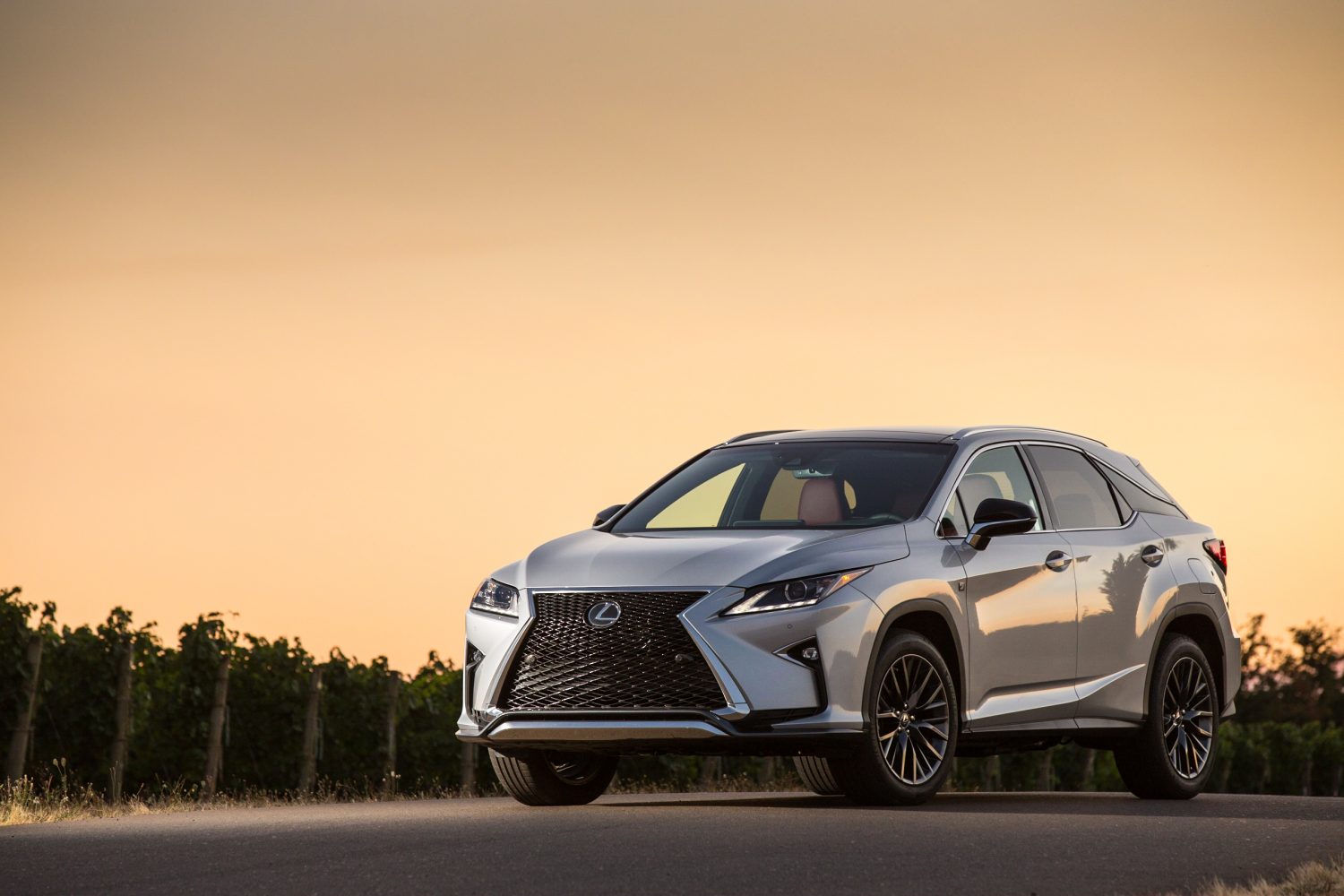 Stick Shift: 2018 Lexus RX 350 F Sport