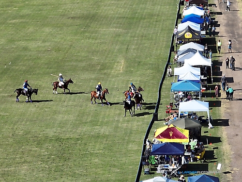 19.Polo 22