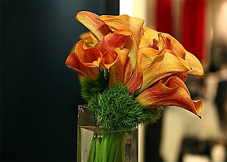 img_0037-01