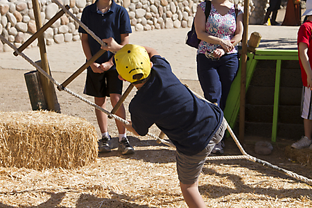 IMG_7390 LR