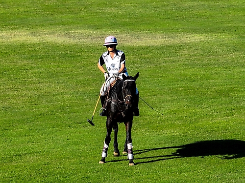 42.Friday Polo55