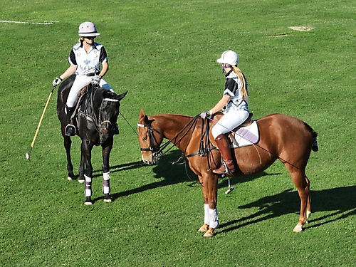 43.Friday Polo57