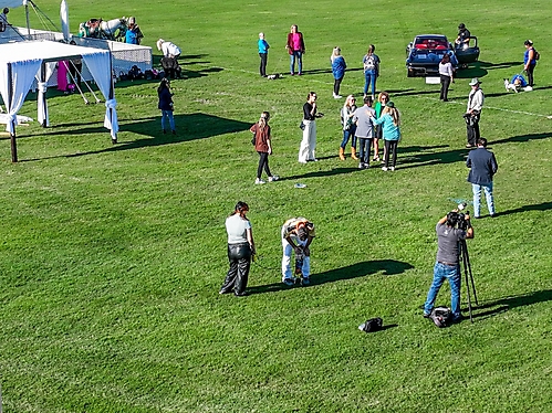 48.Friday Polo61