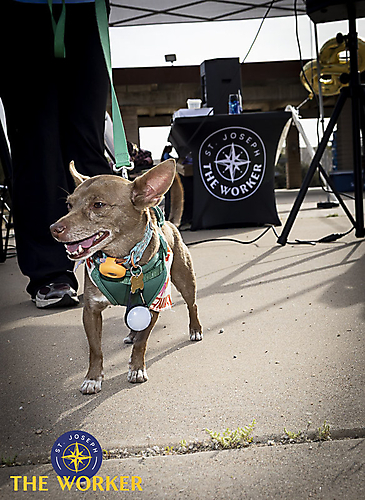 img_1797_55179266767_l_1775774459_69d82afbacafd