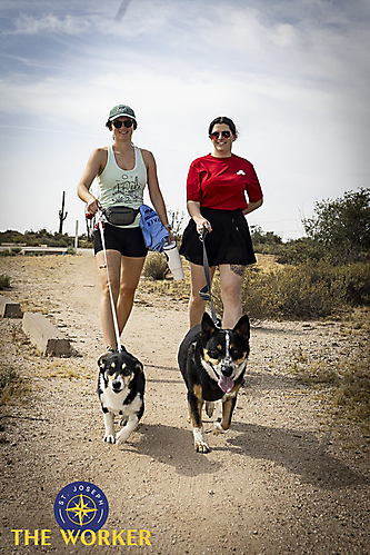 img_1880_55180557875_l_1775774461_69d82afd9116f