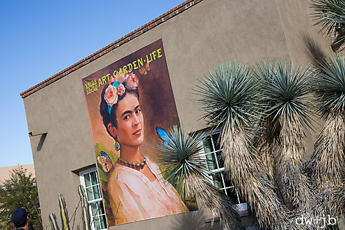 SAVOR Tucson-1