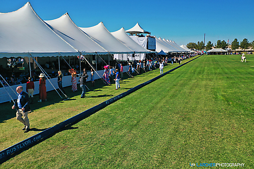 Scottsdale Polo (27)