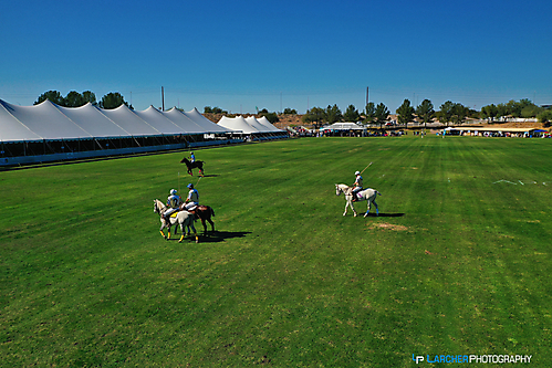 Scottsdale Polo (34)