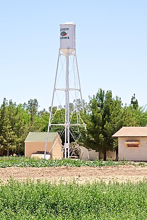 schnepf-farm--027