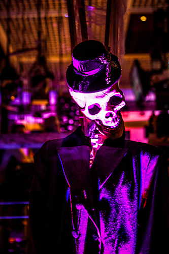 0001_IMG_2447