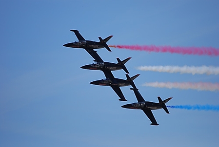aerospace-and-arizona-days-tucson-2010_46