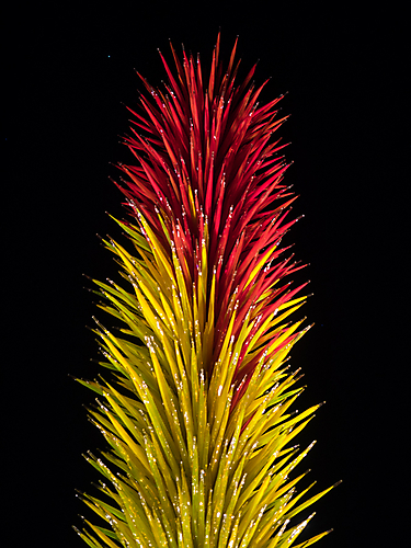 P3287400