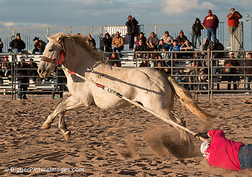 IMG_0971 LR