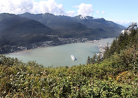 alaska-bear-adventure-2009_12
