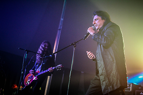 vamp2016bash (800)