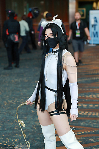 AK1A0667