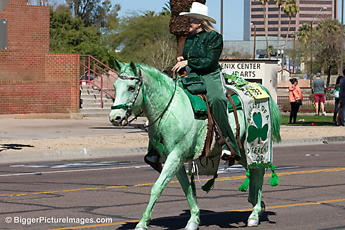 10 IMG_9601 LR