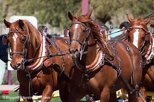 12 IMG_9621 LR