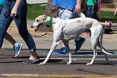15 IMG_9638 LR