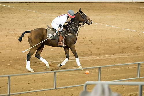 ARK_AZFH_Polo-41
