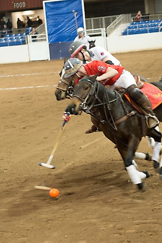 ARK_AZFH_Polo-4