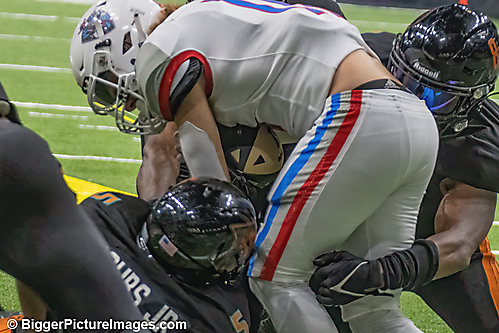 19 IMG_8479-SAI-Focus