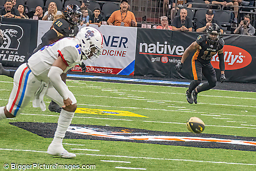 66 IMG_8430-SAI-Focus