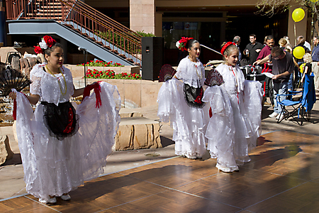 IMG_7817 LR