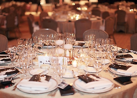 arthritis-foundation-oscar-night-america-viewing-party-phoenix-2010_33